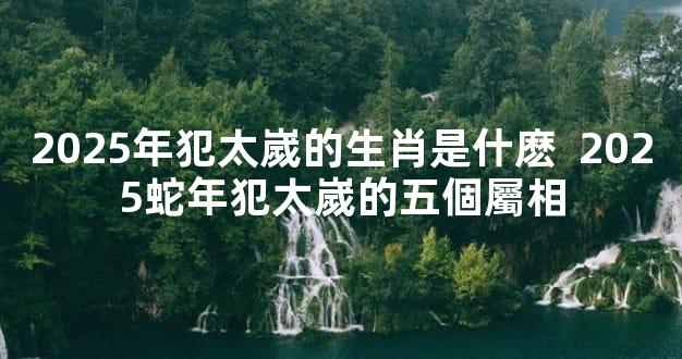 2025年犯太嵗的生肖是什麽  2025蛇年犯太嵗的五個屬相